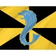 Argyll Proposed Flag for Indoor & Outdoor Use - Imagine 2