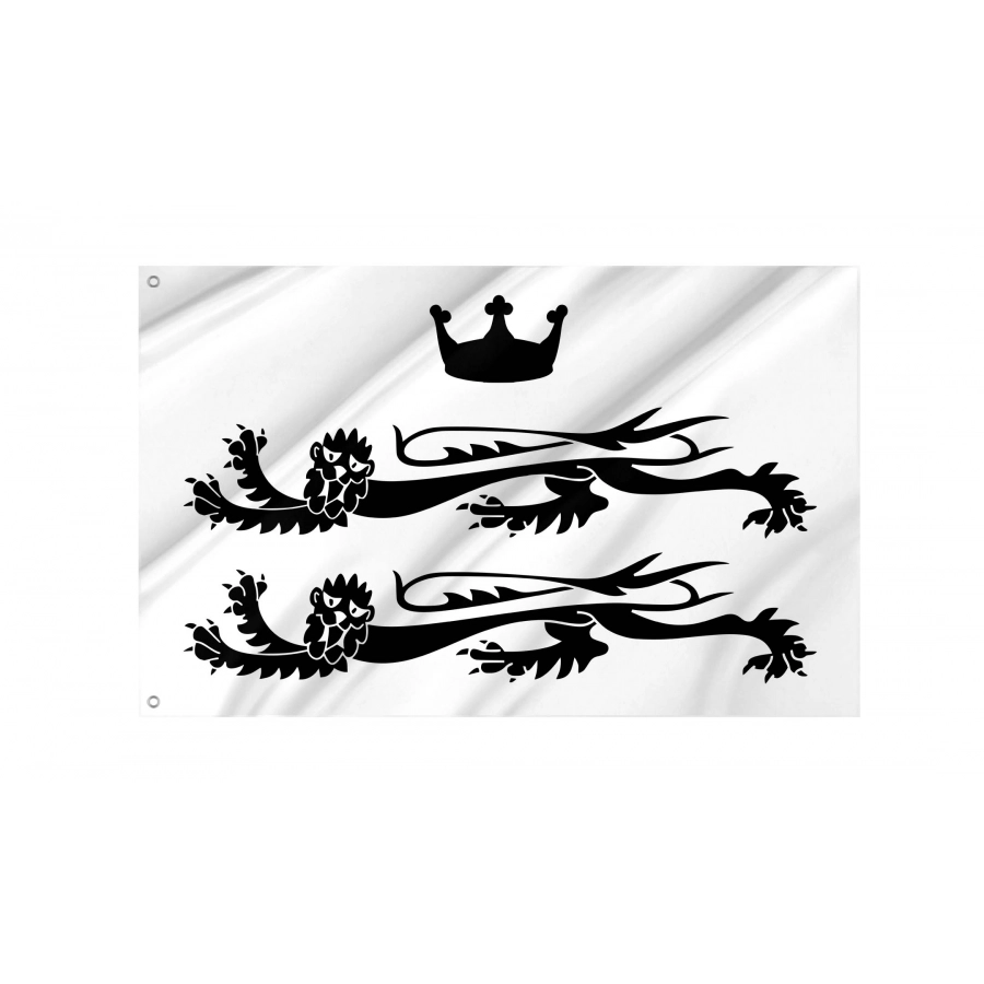 Berkshire County Council Flag for Indoor & Outdoor Use, UK11