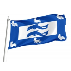 Brighton and Hove Flag for Indoor & Outdoor Use