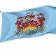 Cambridge City Council Flag for Indoor & Outdoor Use - Imagine 1
