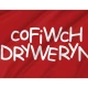 Cofiwch Dryweryn Free Wales Flag for Indoor & Outdoor Use - Imagine 2