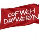 Cofiwch Dryweryn Free Wales Flag for Indoor & Outdoor Use - Imagine 1