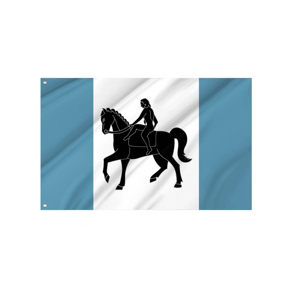 Coventry City Flag for Indoor & Outdoor Use