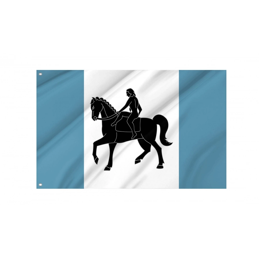 Coventry City Flag for Indoor & Outdoor Use, UK24