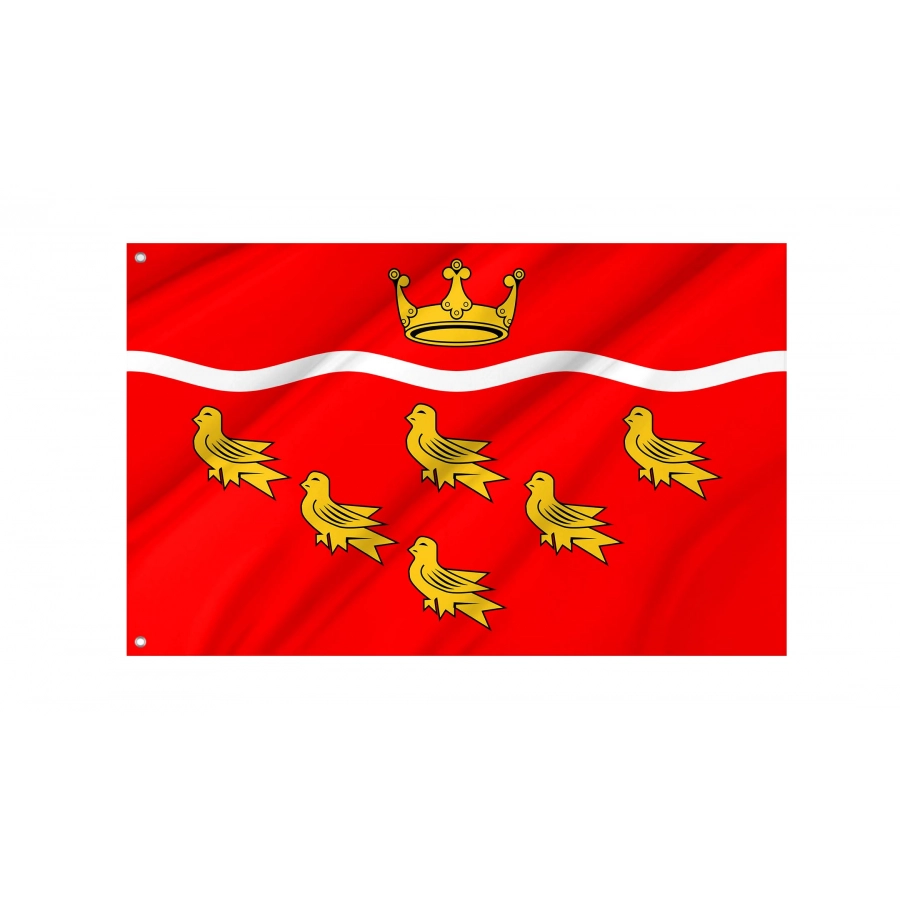 East Sussex County Council Flag for Indoor & Outdoor Use, UK14