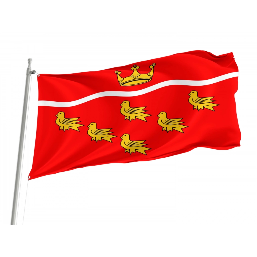 East Sussex County Council Flag for Indoor & Outdoor Use, UK14