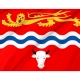 Herefordshire Council Flag for Indoor & Outdoor Use - Imagine 2