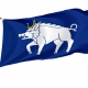 Kingswinford Town Flag - Imagine 1