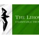Lihou Flag for Indoor & Outdoor Use - Imagine 2
