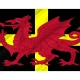 Wales Dragon On St David's Cross Flag for Indoor & Outdoor Use - Imagine 2