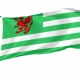 Wiltshire Council Flag for Indoor & Outdoor Use - Imagine 1
