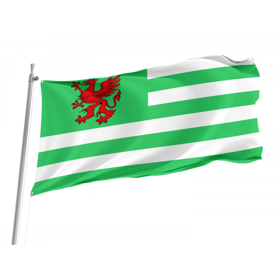 Wiltshire Council Flag for Indoor & Outdoor Use, UK22