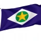 Mato Grosso Flag for Indoor & Outdoor Use - Imagine 1