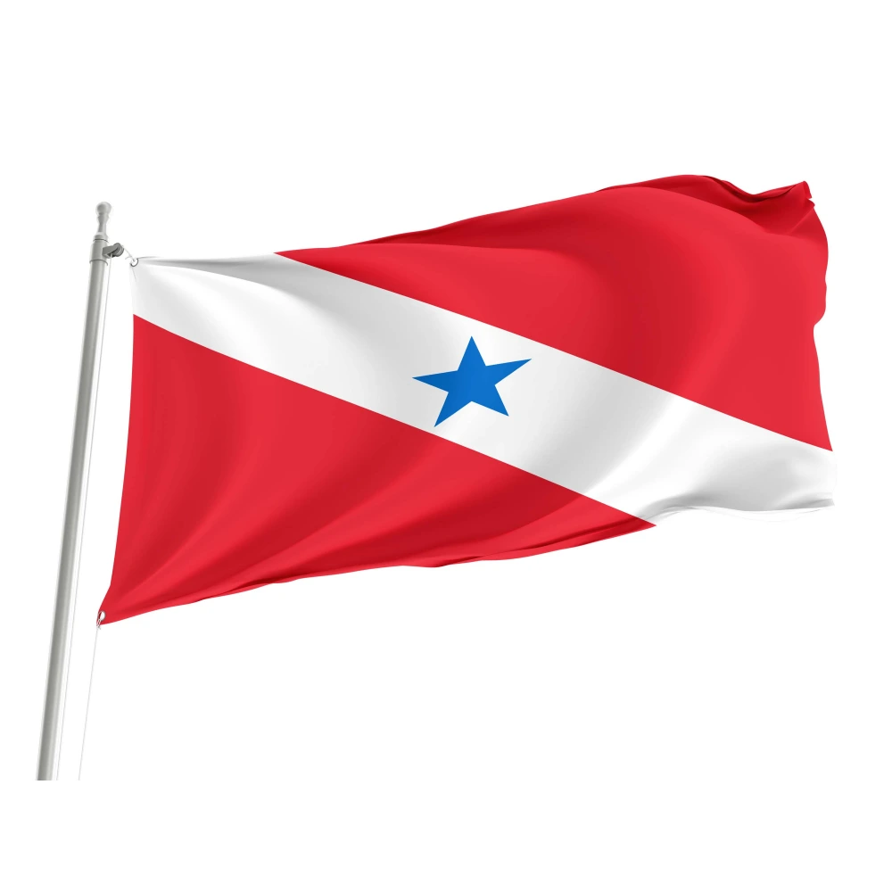 Pará Flag for Indoor & Outdoor Use