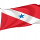 Pará Flag for Indoor & Outdoor Use - Imagine 1
