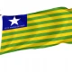 Piauí Flag for Indoor & Outdoor Use - Imagine 1