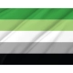 Aromantic Pride Flag for Indoor & Outdoor Use - Imagine 2