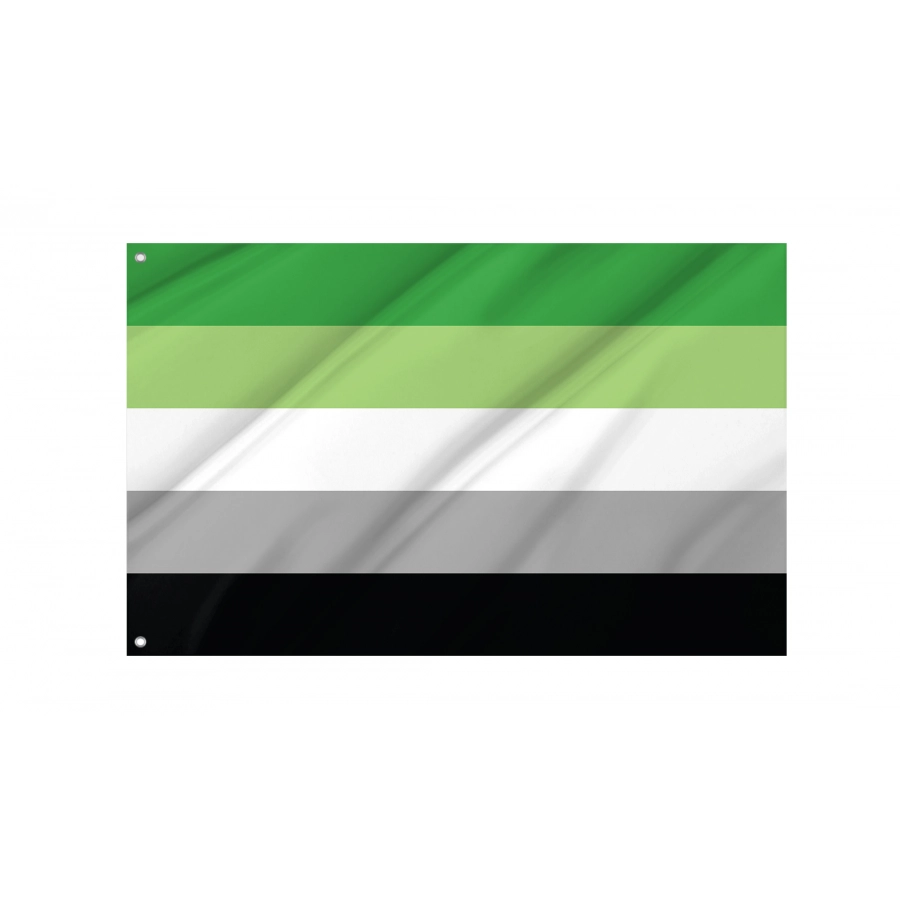 Flag of Aromantic Pride, Unique Design Print, Flags for Indoor & Outdoor Use