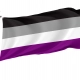 Asexuality Flag for Indoor & Outdoor Use - Imagine 1