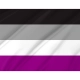Asexuality Flag for Indoor & Outdoor Use - Imagine 2
