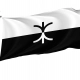 BPD Pride Flag for Indoor & Outdoor Use - Imagine 1
