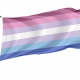Bigender Flag for Indoor & Outdoor Use - Imagine 1