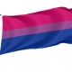 Bisexual Pride Flag for Indoor & Outdoor Use - Imagine 1