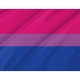 Bisexual Pride Flag for Indoor & Outdoor Use - Imagine 2