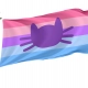 Catgender Flag for Indoor & Outdoor Use - Imagine 1