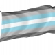 Demiboy Flag for Indoor & Outdoor Use - Imagine 1