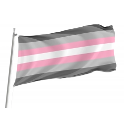 Demigirl Pride Flag for Indoor & Outdoor Use