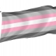 Demigirl Pride Flag for Indoor & Outdoor Use - Imagine 1