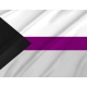 Demisexual Pride Flag for Indoor & Outdoor Use - Imagine 2