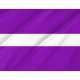Gendercreative Pride Flag for Indoor & Outdoor Use - Imagine 2