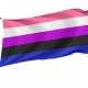 Genderfluid Flag for Indoor & Outdoor Use - Imagine 1