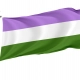 Genderqueer Pride Flag for Indoor & Outdoor Use - Imagine 1