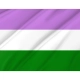 Genderqueer Pride Flag for Indoor & Outdoor Use - Imagine 2