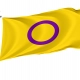 Intersex Flag for Indoor & Outdoor Use - Imagine 1