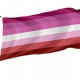 Lesbian Stripes No Lips Flag for Indoor & Outdoor Use - Imagine 1