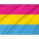 Pansexual Pride Flag for Indoor & Outdoor Use - Imagine 2