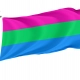Polysexual Flag for Indoor & Outdoor Use - Imagine 1