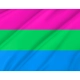 Polysexual Flag for Indoor & Outdoor Use - Imagine 2