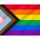 Progress Pride Flag for Indoor & Outdoor Use - Imagine 2