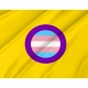 Trans Intersex Pride Flag for Indoor & Outdoor Use - Imagine 2