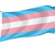 Transgender Flag for Indoor & Outdoor Use - Imagine 1