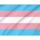 Transgender Flag for Indoor & Outdoor Use - Imagine 2