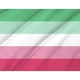 Abrosexual Pride Flag for Indoor & Outdoor Use - Imagine 2