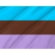 Androsexual Pride Flag for Indoor & Outdoor Use - Imagine 2