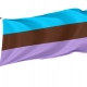 Androsexual Pride Flag for Indoor & Outdoor Use - Imagine 1