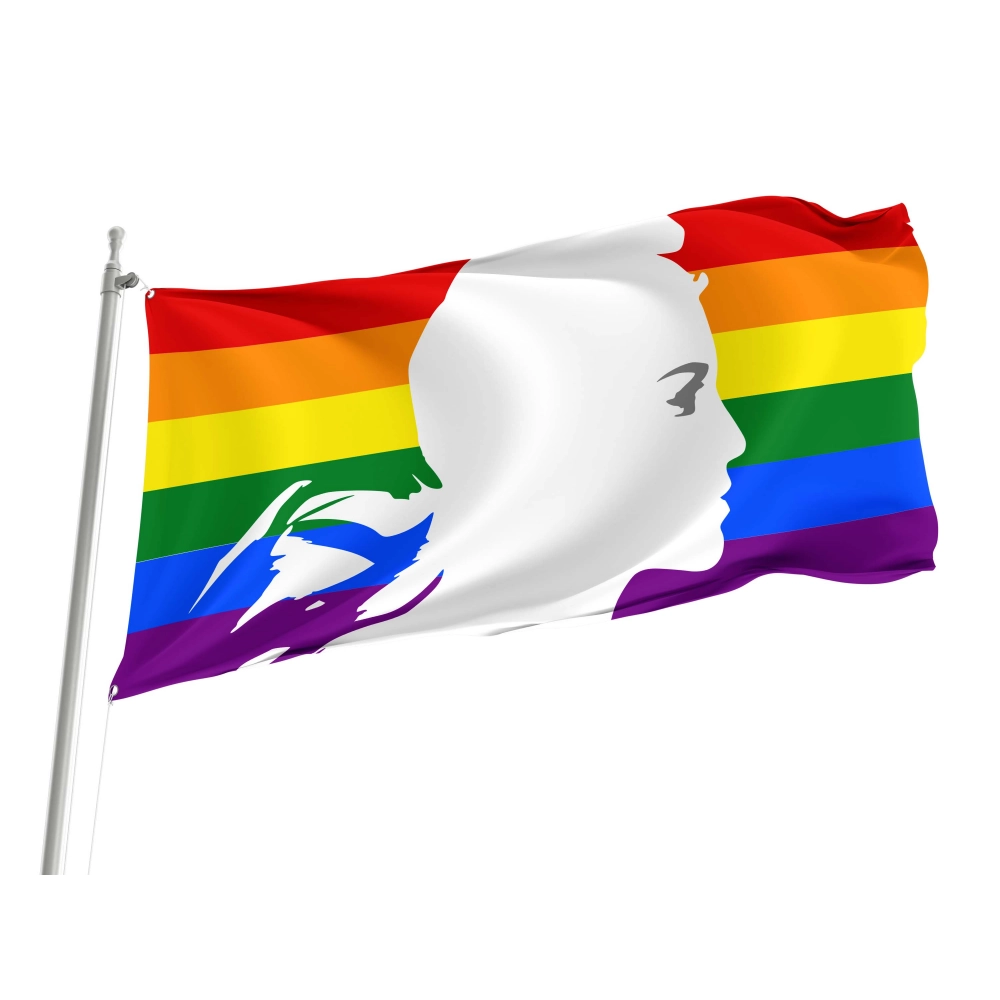 Bandeau Rainbow France Flag for Indoor & Outdoor Use